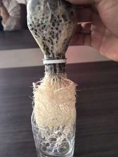 年销售量三十万吨的有机肥生产厂家，全国网点发货，资质齐全，正品保障！有机肥、生物菌肥、微生物肥料等