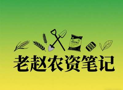 乡镇农资店对接厂家：不是否定代理，是找对&ldquo;有前景的小厂&rdquo;补增量