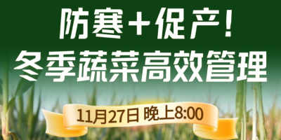 《细说农技》专家张宝林教冬季蔬菜防寒 + 促产高效管理，27 日晚 8 点！