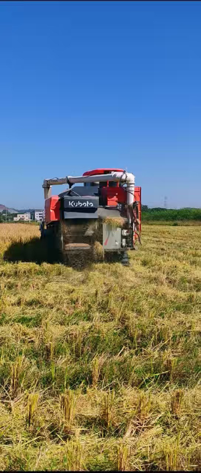 惠州基地，无人拖拉机收水稻了。