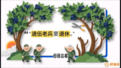 第7节：修剪决定产量（下）&mdash;&mdash;结果树的更新与疏果，课程：《蓝莓&ldquo;高产&rdquo;实战课：从选苗到丰收的10个关键点》