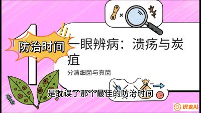 第三节：细菌与真菌&mdash;&mdash;溃疡病与炭疽病，课程：《柑橘十大病虫害：从入门到精通》