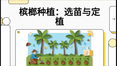 第01节：选苗与定植&mdash;&mdash;&ldquo;苗好一半收，底肥定千秋&rdquo;课程：《槟榔种植：从不懂到精通的10堂必修课》
