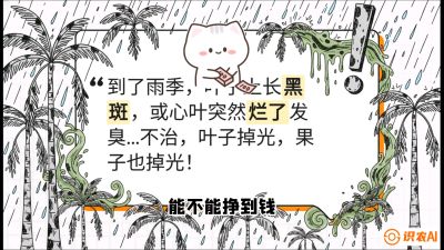 第05节：常见真菌病害&mdash;&mdash;&ldquo;炭疽与烂心，早防值千金&rdquo;《槟榔种植：从不懂到精通的10堂必修课》