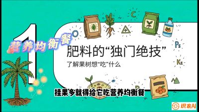 第07节：科学施肥&mdash;&mdash;&ldquo;氮磷钾配好，树壮果不倒