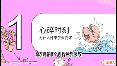 第08节：微量元素与保果&mdash;&mdash;&ldquo;补硼又补钙，果子不裂坏&rdquo;《槟榔种植：从不懂到精通的10堂必修课》