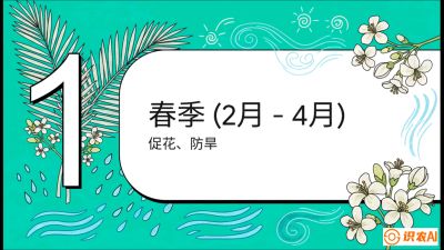 第10节：周年农事日历&mdash;&mdash;&ldquo;跟着节气走，丰产在手头&rdquo;《槟榔种植：从不懂到精通的10堂必修课》