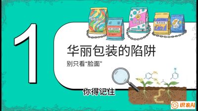 第4节：【黄金配方】底肥里的&ldquo;铁三角&rdquo;与&ldquo;微量雷区&rdquo;课程：《柑橘底肥&ldquo;翻身账&rdquo;：从改土到高产的实战全书》