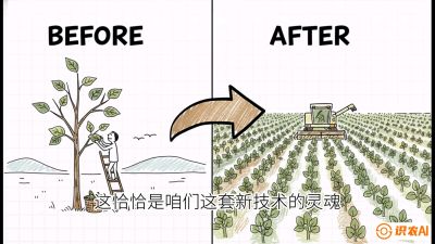 第02节：把树变成草&mdash;&mdash;&ldquo;草本化密植&rdquo;技术，课程：《桑海淘金：桑树高产与蚕桑安全进阶实战课》