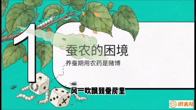 第06节：虫口夺叶（上）&mdash;&mdash;物理与生物防控绝技，课程《桑海淘金：桑树高产与蚕桑安全进阶实战课》