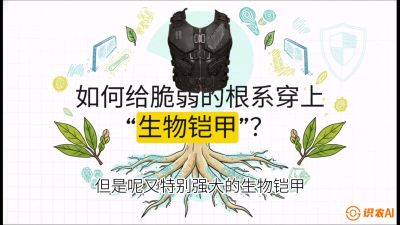 第三节：国产榴莲突围战：根系堡垒，菌根微生态构建与黄金定植窗口，课程：《国产榴莲突围战：从泰国经验到中国实操的8堂必修课（高阶实战版）》