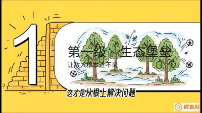 第七节：榴莲防御战：病虫害三级立体防控，疫霉菌与虫害的立体封锁线，课程：《国产榴莲突围战：从泰国经验到中国实操的8堂必修课（高阶实战版）》