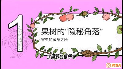 第3节：无人机专治&ldquo;打不透&rdquo;&mdash;&mdash;果树与高杆作物的穿透技巧，课程：《无人机植保搞钱必修课：从&ldquo;瞎飞&rdquo;到&ldquo;懂行&rdquo;的6步进阶》