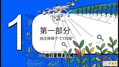 第5节：无人机也能&ldquo;看病抓药&rdquo;&mdash;&mdash;处方图与变量施肥入门，课程：《无人机植保搞钱必修课：从&ldquo;瞎飞&rdquo;到&ldquo;懂行&rdquo;的6步进阶》