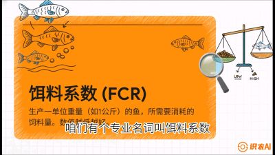 第五节：【高端单品&middot;鳜鱼】&ldquo;饲料鳜&rdquo;技术：打破吃活饵的高成本魔咒，课程：《黄金鳞甲：2025中国淡水鱼高效养殖实战营》