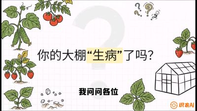 第2节（解毒篇）： 大棚里的&ldquo;红白绿&rdquo;警报&mdash;&mdash;读懂土壤盐渍化的求救信号，课程：《揭秘土壤的秘密：让土地帮你赚钱》#识农AI