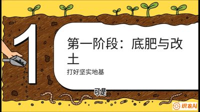 第6节（统筹篇）： 省钱又增产的&ldquo;黄金配比&rdquo;&mdash;&mdash;不同作物全年的养土实操方案，课程：《揭秘土壤的秘密：让土地帮你赚钱》#识农AI