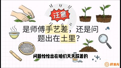 第02节（土肥篇）：告别&ldquo;苦涩水味&rdquo;：揭秘&ldquo;碳氮比&rdquo;调控术，种出自带兰花香的好茶底，课程：《茶金时代：从&ldquo;看天吃饭&rdquo;到&ldquo;精准控局&rdquo;的茶叶高产提质实战课》