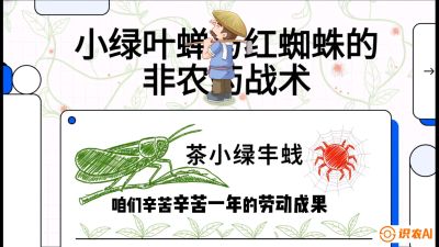 第03节（虫害篇）：看不见的吸血鬼：小绿叶蝉与红蜘蛛的&ldquo;非农药&rdquo;团灭战术（抗性治理），课程：《茶金时代：从&ldquo;看天吃饭&rdquo;到&ldquo;精准控局&rdquo;的茶叶高产提质实战课》