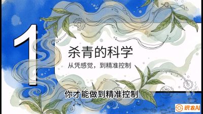第05节（加工篇）：决胜2分钟：用&ldquo;数字温控&rdquo;破解杀青不匀，复刻大师级手工口感，课程：《茶金时代：从&ldquo;看天吃饭&rdquo;到&ldquo;精准控局&rdquo;的茶叶高产提质实战课》