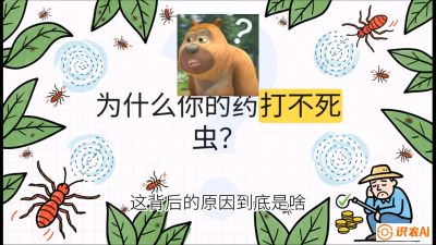 第4节：【虫害歼灭战】打不死的蓟马、隐形的茶黄螨：抗性时代的&ldquo;混配绝杀&rdquo;，课程：《辣椒种植实战特训营，从工业辣椒到精品小米辣，教你如何把&ldquo;草&rdquo;种成&ldquo;金&rdquo;》