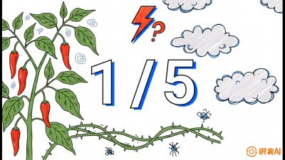 第6节：【花果爆发术】落花落果的五大元凶，与&ldquo;三喷一保&rdquo;坐果黑科技，课程：《辣椒种植实战特训营，从工业辣椒到精品小米辣，教你如何把&ldquo;草&rdquo;种成&ldquo;金&rdquo;》