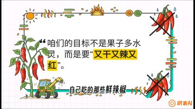第7节：【工业辣椒专场】追求极致辣度！干物质提升与机械化采收的&ldquo;催红秘籍&rdquo;，课程：《辣椒种植实战特训营，从工业辣椒到精品小米辣，教你如何把&ldquo;草&rdquo;种成&ldquo;金&rdquo;》