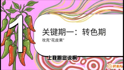 第8节：【小米辣线椒专场】颜值即正义！防花皮、防炭疽，打造收购商抢着要的&ldquo;精品果&rdquo;，课程：《辣椒种植实战特训营，从工业辣椒到精品小米辣，教你如何把&ldquo;草&rdquo;种成&ldquo;金&rdquo;》