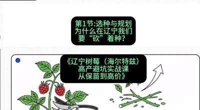 第一节： 选种与规划&mdash;&mdash;为什么在辽宁我们要&ldquo;砍&rdquo;着种？，课程：《辽宁树莓（海尔特兹）高产避坑实战课：从保苗到高价》
