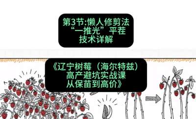 第三节： 懒人修剪法&mdash;&mdash;&ldquo;一推光&rdquo;平茬技术详解，课程：《辽宁树莓（海尔特兹）高产避坑实战课：从保苗到高价》