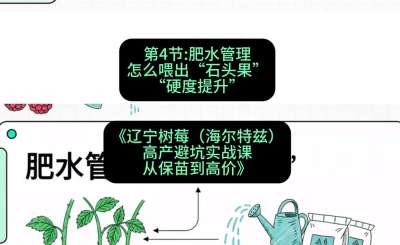 第四节： 肥水管理&mdash;&mdash;怎么喂出&ldquo;石头果&rdquo;（硬度提升），课程：《辽宁树莓（海尔特兹）高产避坑实战课：从保苗到高价》