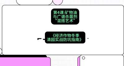 第4节：【替代方案】矿物油与广谱杀菌剂的&ldquo;混搭艺术&rdquo;，课程：《经济作物冬季清园&middot;实战防坑指南》#识农AI