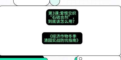 第3节：【核武药剂】爱恨交织的&ldquo;石硫合剂&rdquo;，到底该怎么用？，课程：《经济作物冬季清园&middot;实战防坑指南》#识农AI