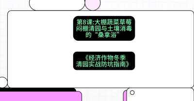 第8节：【大棚蔬菜草莓】闷棚清园与土壤消毒的&ldquo;桑拿浴&rdquo;，课程：《经济作物冬季清园&middot;实战防坑指南》#识农AI