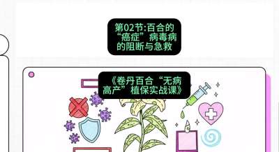 第02节：百合的&ldquo;癌症&rdquo;&mdash;&mdash;病毒病的阻断与急救，课程：《卷丹百合&ldquo;无病高产&rdquo;植保实战课》#识农AI