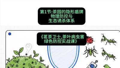 第01节：茶园的&ldquo;隐形盾牌&rdquo;&mdash;&mdash;物理防控与生态诱杀体系，课程：《茗茶卫士&mdash;&mdash;茶叶病虫害绿色防控实战课》#识农AI