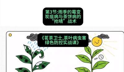 第03节：雨季的霉变&mdash;&mdash;炭疽病与茶饼病的&ldquo;抢晴&rdquo;战术，课程：《茗茶卫士&mdash;&mdash;茶叶病虫害绿色防控实战课》#识农AI