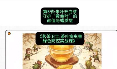 第05节：朱叶齐白茶&mdash;&mdash;守护&ldquo;黄金叶&rdquo;的颜值与蜡质层（重点），课程：《茗茶卫士&mdash;&mdash;茶叶病虫害绿色防控实战课》#识农AI