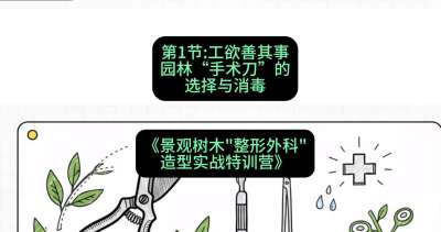 第01节：工欲善其事&mdash;&mdash;园林&ldquo;手术刀&rdquo;的选择与消毒，课程：《景观树木&ldquo;整形外科&rdquo;造型实战特训营》#识农AI