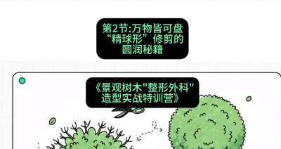 第02节：万物皆可盘&mdash;&mdash;&ldquo;精球形&rdquo;修剪的圆润秘籍，课程：《景观树木&ldquo;整形外科&rdquo;造型实战特训营》#识农AI