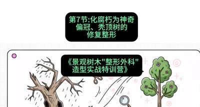 第07节：化腐朽为神奇&mdash;&mdash;偏冠、秃顶树的修复整形，课程：《景观树木&ldquo;整形外科&rdquo;造型实战特训营》#识农AI