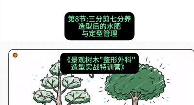第08节：三分剪七分养&mdash;&mdash;造型后的水肥与定型管理，课程：《景观树木&ldquo;整形外科&rdquo;造型实战特训营》#识农AI