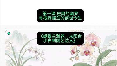 第一节：庄周的幽梦：寻根蝴蝶兰的前世今生，课程：《蝴蝶兰雅养六讲：从阳台小白到园艺达人》#识农AI