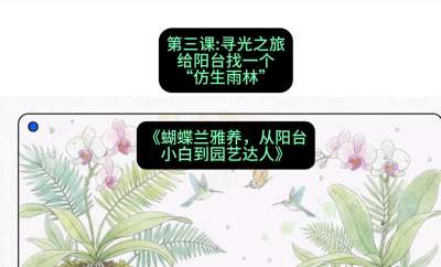 第三节：寻光之旅：给阳台找一个&ldquo;仿生雨林&rdquo;，课程：《蝴蝶兰雅养六讲：从阳台小白到园艺达人》#识农AI
