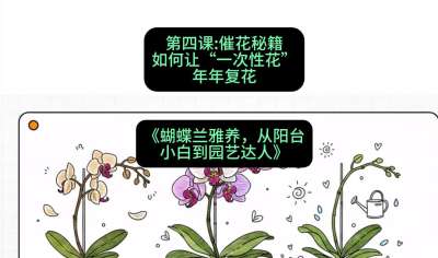 第四节：催花秘籍：如何让&ldquo;一次性花&rdquo;年年复花，课程：《蝴蝶兰雅养六讲：从阳台小白到园艺达人》#识农AI