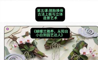 第五节：脱胎换骨：古法上板与立体造景艺术，课程：《蝴蝶兰雅养六讲：从阳台小白到园艺达人》#识农AI