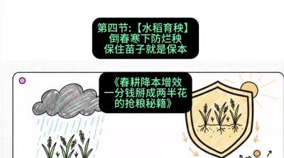 第四节：【水稻育秧】倒春寒下防烂秧，保住苗子就是保本