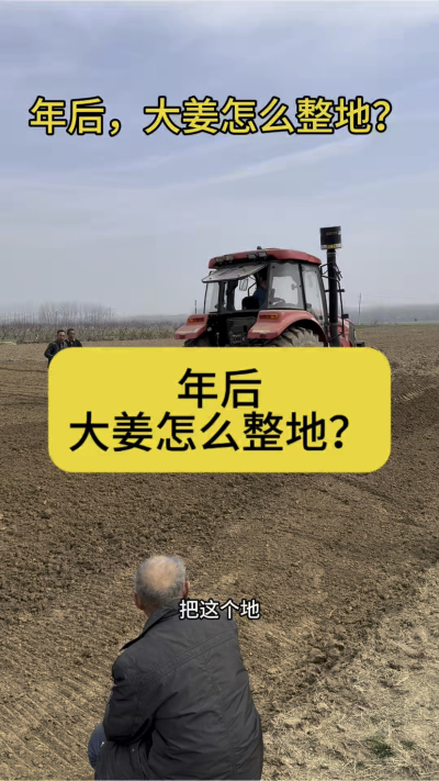 年后，大姜怎么整地？