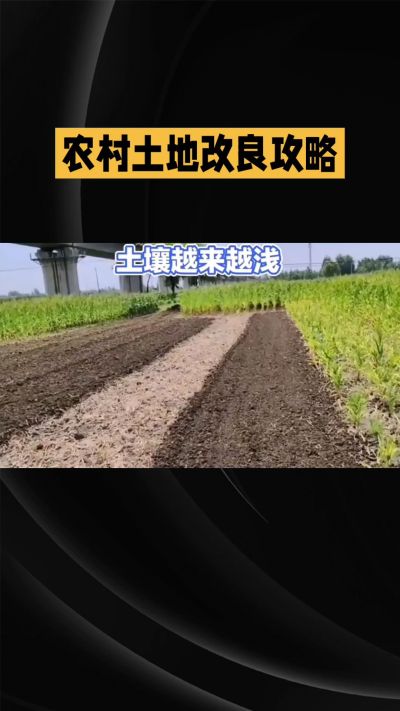 1. 先搞懂：你到底要改良哪块地、种什么
 
- 土土土在哪里？
就是你自家农田、菜地、果园，哪块地想种庄稼，就测哪块地的土。
​
- 有水没有水？
有水能浇：改良更省事，施肥、调酸碱都好操作。
没水