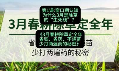 第1节：窗口期认知，为什么3月是除草的&ldquo;生死线&rdquo;？，课程：《3月春耕除草定全年：省钱、省药、不烧苗、少打两遍药的秘密》